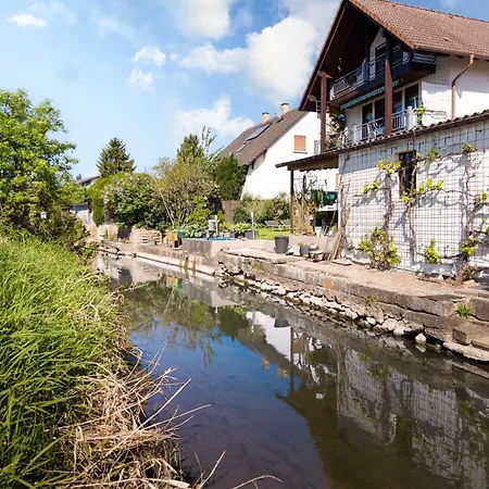 Apartment Haus Am Idyllischen Bach Rheinau